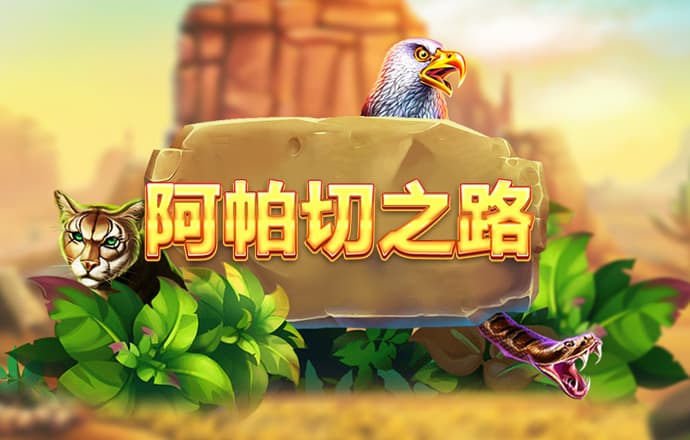 bibo必博体育官网